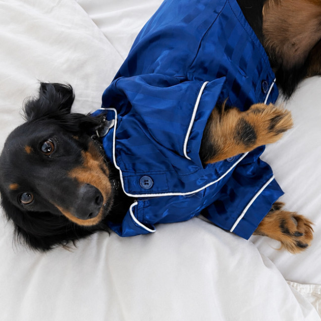 Photo of Bruno