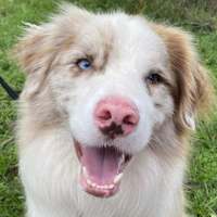 Photo of Murphy