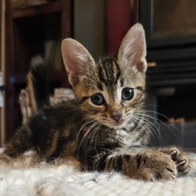 Photo of 💚 Marshall 💚