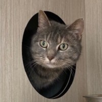 Photo of C1339 Peggy