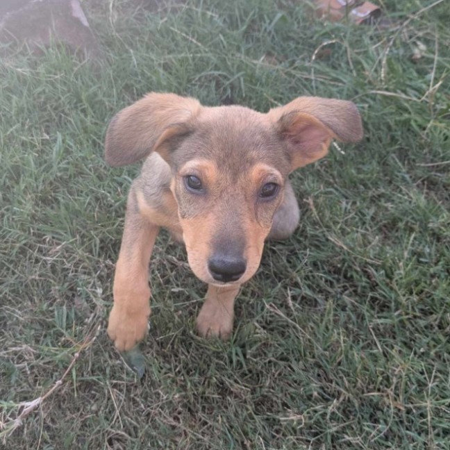 Photo of Skye