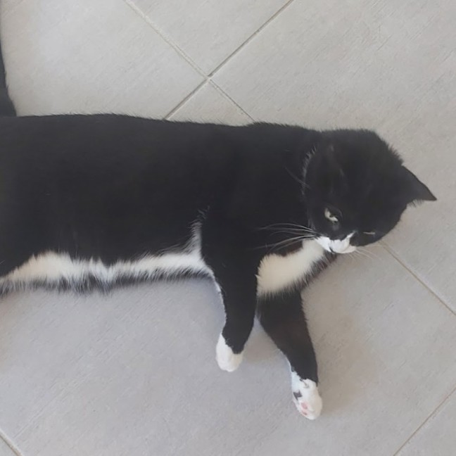Photo of Susie