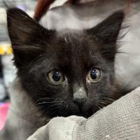 Photo of $250 Uncle Blackie