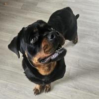 Photo of 🎀 Karis 6611 🎀