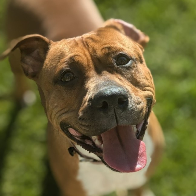 Photo of 🍄 Marley 5313 🍄