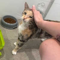 Photo of Caramel Slice