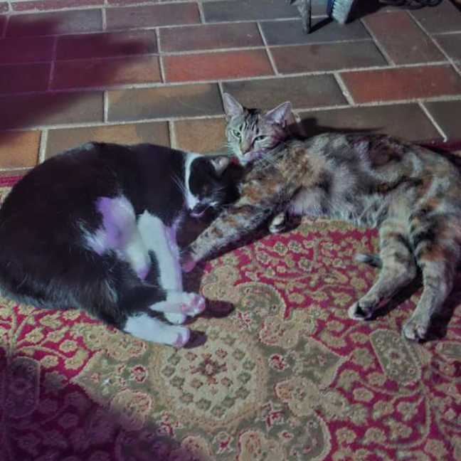 Photo of Zoe