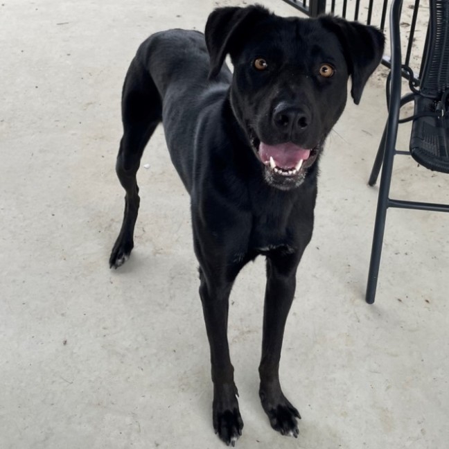 Photo of Lucy