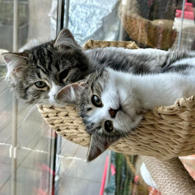 Photo of Mitzi