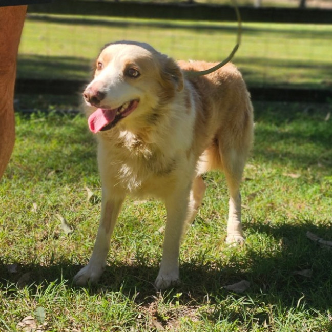 Photo of Jasper