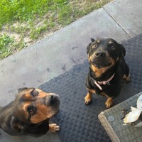 Photo of Ally And Lilly