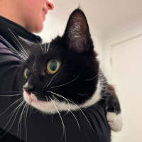 Photo of Sundae