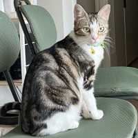 Photo of Penny & Cali💗