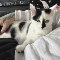 Photo of Skittles 🌈