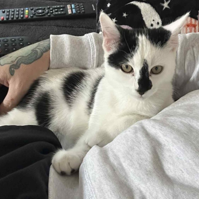 Photo of Skittles 🌈