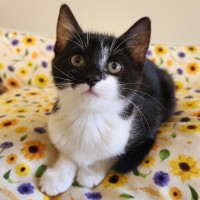 Photo of Moira