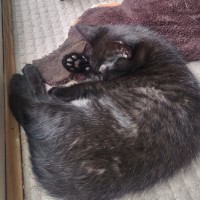 Photo of Teila 🌺🌺