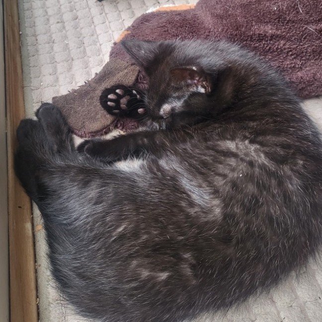 Photo of Teila 🌺🌺