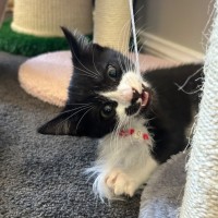 Photo of James Bond 💜