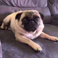 Photo of Wally