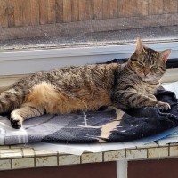 Photo of Sara & Marley