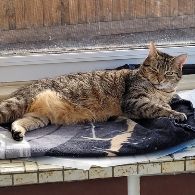 Photo of Sara & Marley