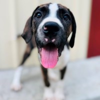 Photo of Clam Chowder