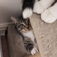 Photo of Promise