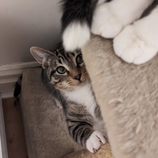 Photo of Promise