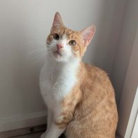 Photo of Theodore