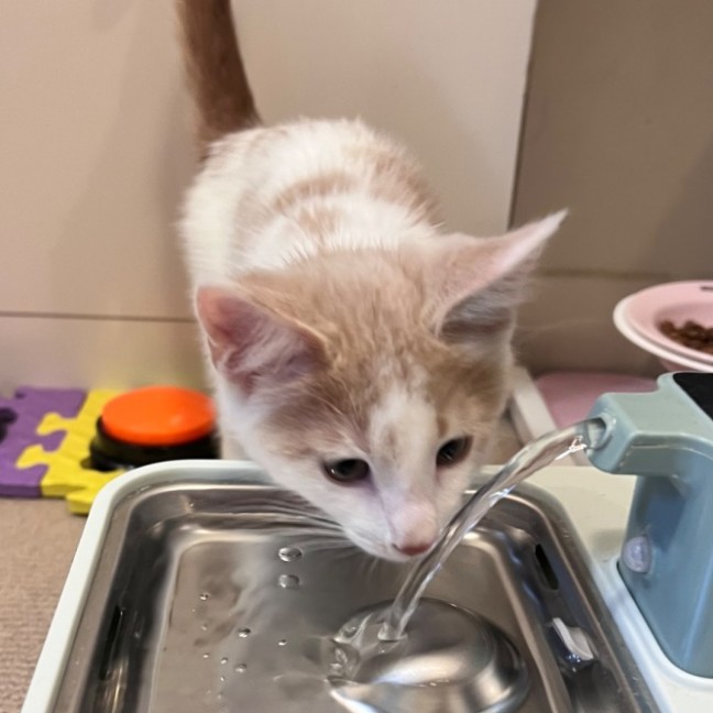 Photo of Evan & Evie