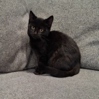 Photo of Abigail