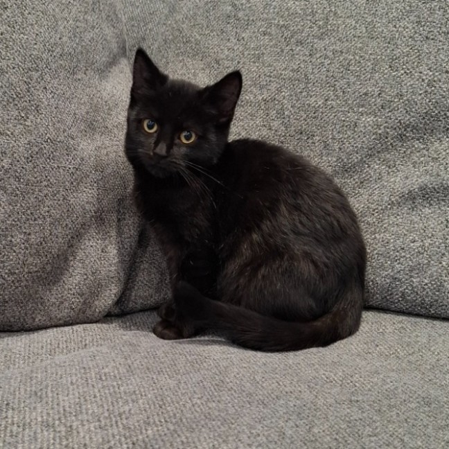 Photo of Abigail
