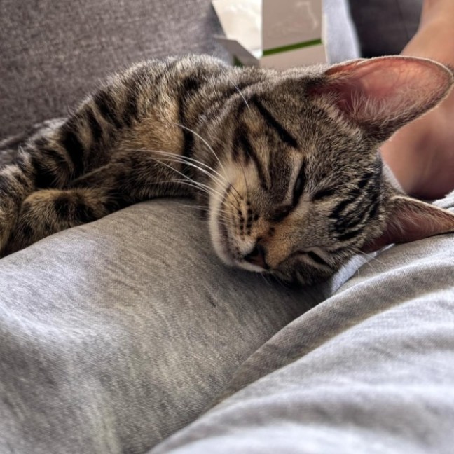 Photo of Liza   Located In Armadale