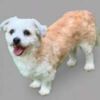 Photo of Bilo
