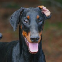 Photo of Miss Monkey