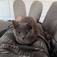 Photo of Katseye