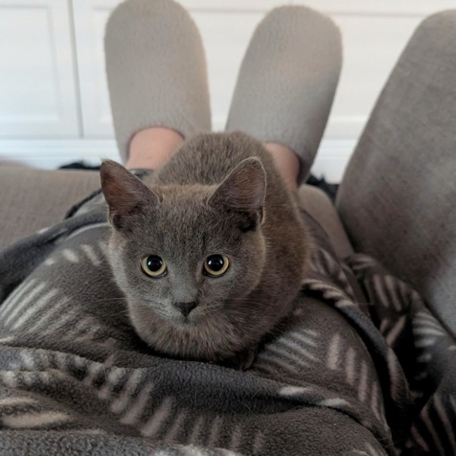 Photo of Katseye