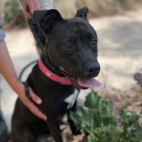 Photo of 🌿 Willow 5859 🌿