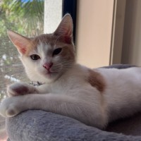 Photo of Elfie