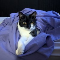 Photo of Lexi