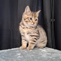 Photo of Ralph