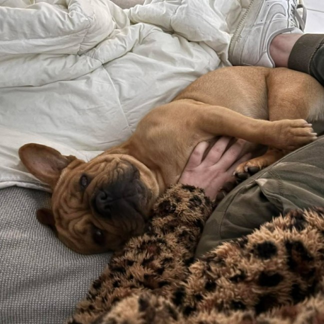 Photo of Ziggy