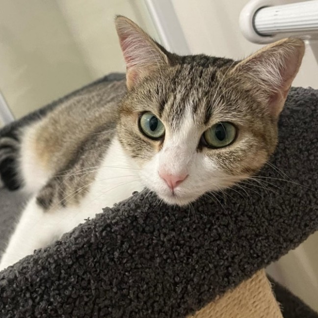 Photo of 🌷 Mia 🌷