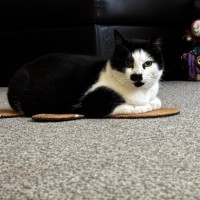 Photo of Miss Louise 