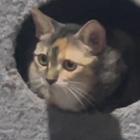 Photo of Tamika