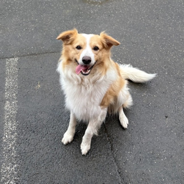 Photo of Marty