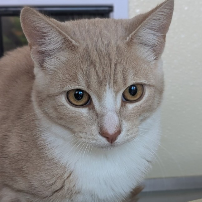 Photo of 🎡 Cairo 6914 🎡