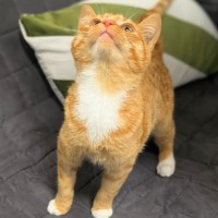 Photo of Lady Marmalade