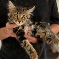 Photo of Dennis, Red, Leo 